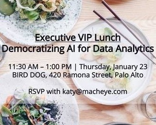 Palo Alto Executive VIP Lunch